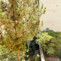 بلوار انقلاب فاز 3 بلوک3 رو به حیاط و آفتاب مستقیم|اجارهٔ آپارتمان|کرج, فاز ۳ گوهردشت|دیوار