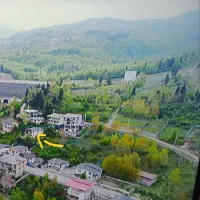 اجاره ویلا جنگلی دوخوابه و تک خوابه چالوس