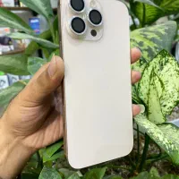 16 pro max|موبایل|مشهد, طلاب|دیوار