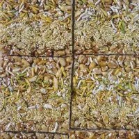 استخدام پخش کننده آقا و خانم
