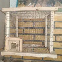 قفس پرنده|لوازم جانبی حیوانات|سمیرم, |دیوار