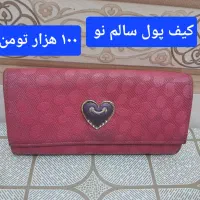 ۴ عدد کیف سالم کیف پول قیمت مناسب دقیق ببین|کیف، کفش، کمربند|قزوین, |دیوار