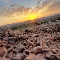 فروش خط تلفن ثابت