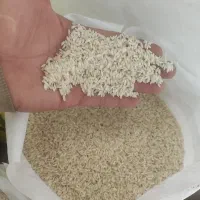 برنج عنبربو شوشتر