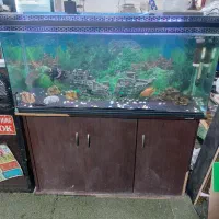 اکواریوم|ماهی|تهران, جوادیه تهرانپارس|دیوار