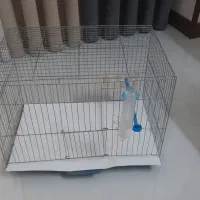 یک عدد قفس پرنده تمیز|لوازم جانبی حیوانات|شاهین‌شهر, فردوسی|دیوار
