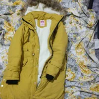 کت نو نو هستش|لباس|یاسوج, |دیوار