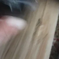 گوشی نوکیا ساده دوسیم کارت|موبایل|گرگان, |دیوار