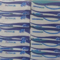 دستمال کاغذی پروفلاور|مواد شوینده و دستمال کاغذی|آفتاب, |دیوار