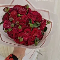 دسته گل رز طبیعی فقط امروز