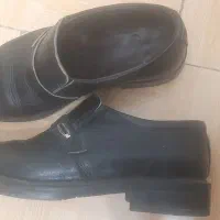 کفش درحد نو|کیف، کفش، کمربند|گنبد کاووس, |دیوار