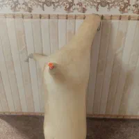 دسته و پوست خوش استایل