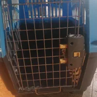 باکس حیوان خانگی|لوازم جانبی حیوانات|هشتگرد, هشتگرد قدیم|دیوار