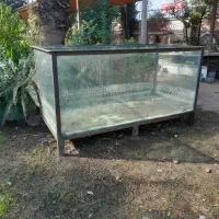 فروش آکواریوم|ماهی|چالوس, |دیوار