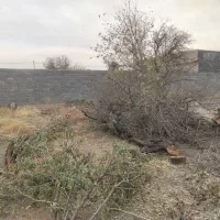 خرید وفروش هیزوم برای داخل شومینه وسمنو