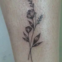 تتو با قیمت باور نکردنی هم بدن هم صورت