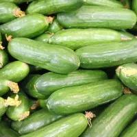 میوه وتره بار ارسال از طریق پیک