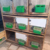 جفتگاه پرنده