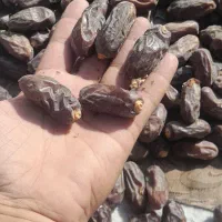 خرمای ماشکید خشک