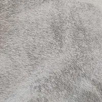 فرش شکی|فرش|دماوند, مسکن مهر گیلاوند|دیوار