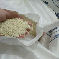 برنج علی کاظمی طارم|خوردنی و آشامیدنی|زنجان, |دیوار