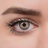 لنز طوسی عسلی