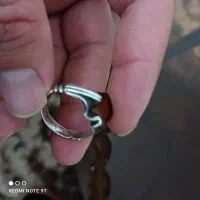 معاوضه انگشتر و ساعت و مرغ عشق با مرغ و ...