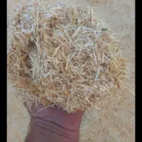کاه گندم دیم درجه یک و گوسفندی