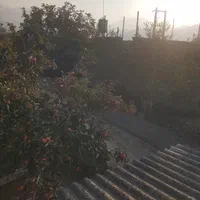 دامداری صنعتی|فروش دفتر صنعتی، کشاورزی، تجاری|گنبد کاووس, |دیوار