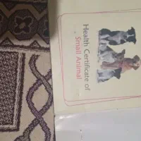 سگ خارجی|سگ|یاسوج, |دیوار