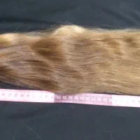 موهای ۴۵ سانت بالا