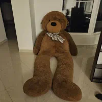 خرس دو متری