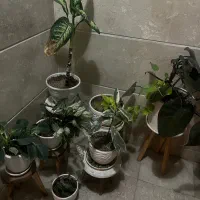 گلدان های ۷تاگلدان بازیرگلدانی همه باهم باپایه