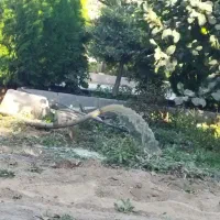 حفاری چاه آب