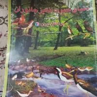 کتاب‌‌پرندگان
