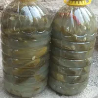 خیارشورمحلی تردوخوشمزه|خوردنی و آشامیدنی|تربت‌حیدریه, بالا ولایت|دیوار