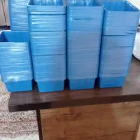 فروش ظرف قارچی دویست گرمی