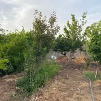 باغ ویلامعاوضه باخودرو|فروش خانه و ویلا|جوادآباد, |دیوار