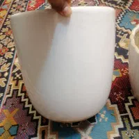 گلدون|گل و گیاه طبیعی|مشهد, نوید|دیوار