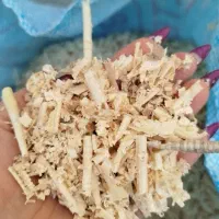 پوشال حیوانات.پورشال  ، همستر ، جوجه ، خرگوش