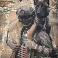 فروش مالینوز اصیل|سگ|کاشان, شهرک صنعتی کویر|دیوار