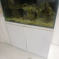 اکواریوم آب شور شیک سالم