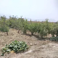 زمین-فروشی-نیاسر