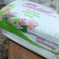 دستمال کاغذی|مواد شوینده و دستمال کاغذی|کرج, حصارک پایین|دیوار