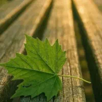 اکانت کالاف دیوتی