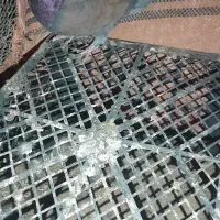 فروش ۳تا تهرانی|پرنده|دهلران, |دیوار