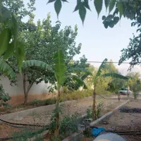 فروش خانه باغ فول باسوله زیرقیمت ۱۰ دقیقه تا شیراز
