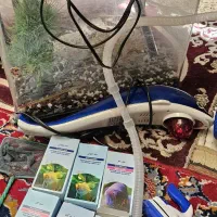 آکواریوم