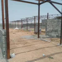 یک واحد پرواربندی بره