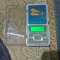 گوشواره طلا
